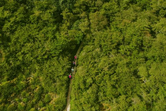 ‘MIRACLE MAN’ TACKLES TARAWERA ULTRAMARATHON FOR SECOND YEAR RUNNING 