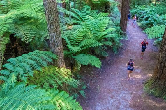 Keeping safe at Tarawera Ultramarathon